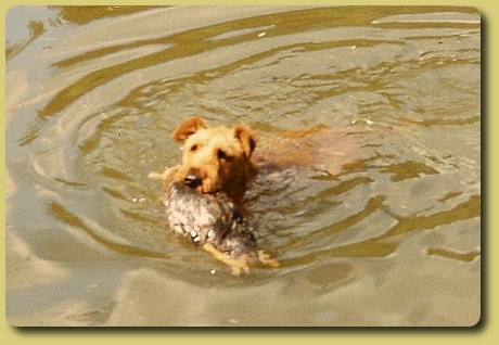 Wasserarbeit